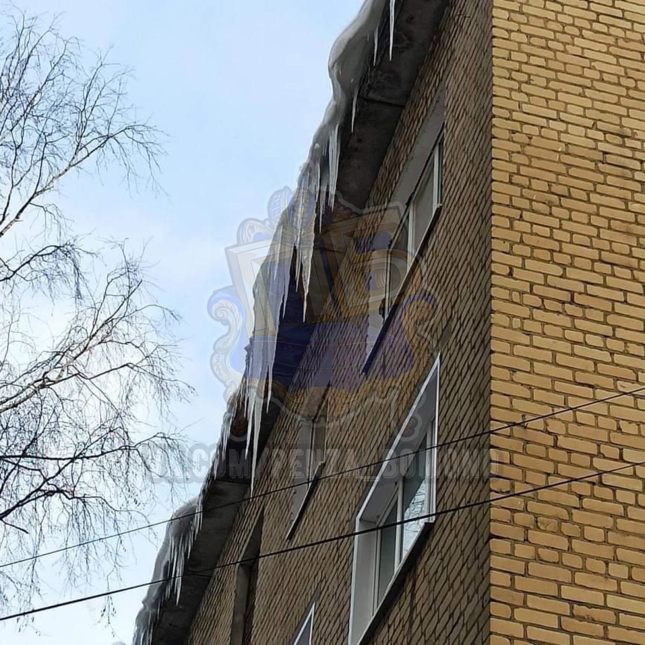 Жители улицы Попова в Пензе жалуются на опасные сосульки