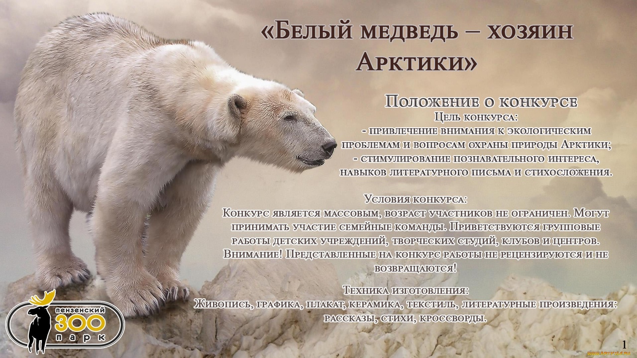Пензенский зоопарк проводит конкурс «Белый медведь — хозяин Арктики»