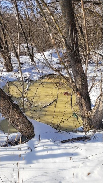 Прокуроры Городищенского района проверят разлившуюся желтую жидкость в Сурске