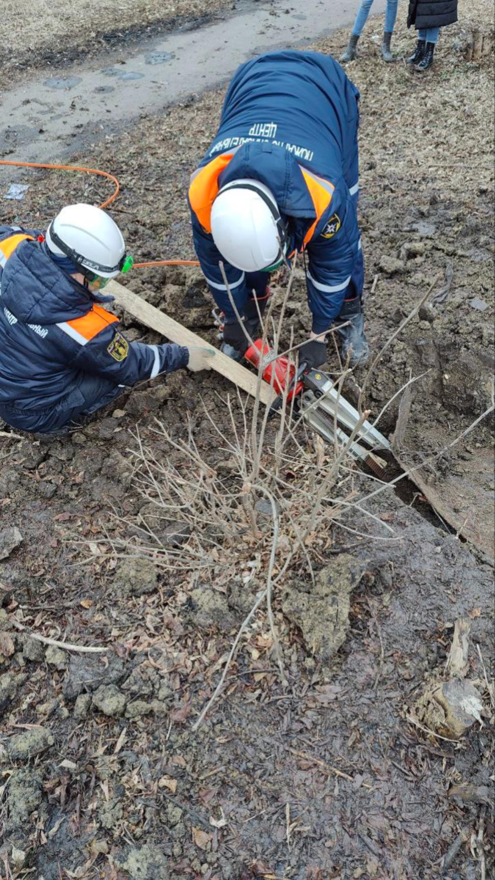 В Пензе спасатели достали «закопанную» под слоем грунта собаку