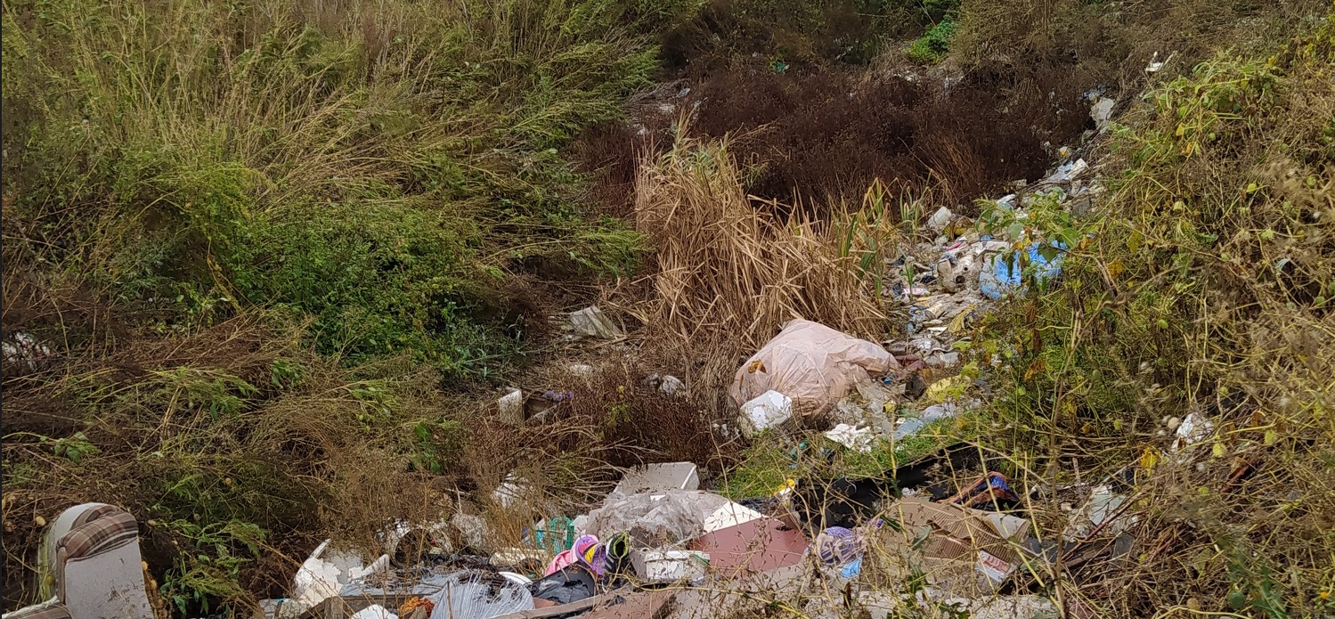 В Лунино местную свалку включили в государственный реестр