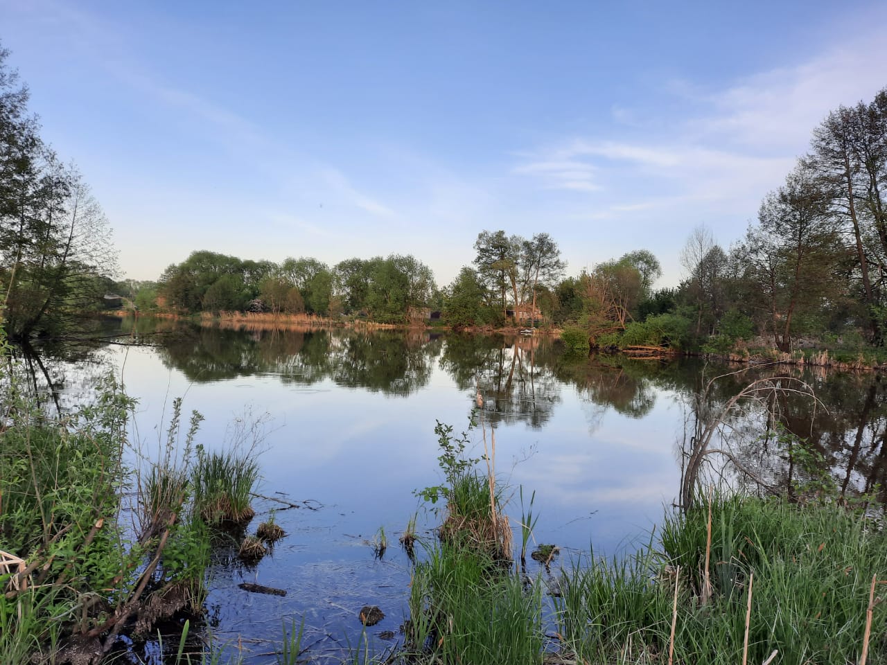 В Чемодановке расчистят пруд на реке Инра