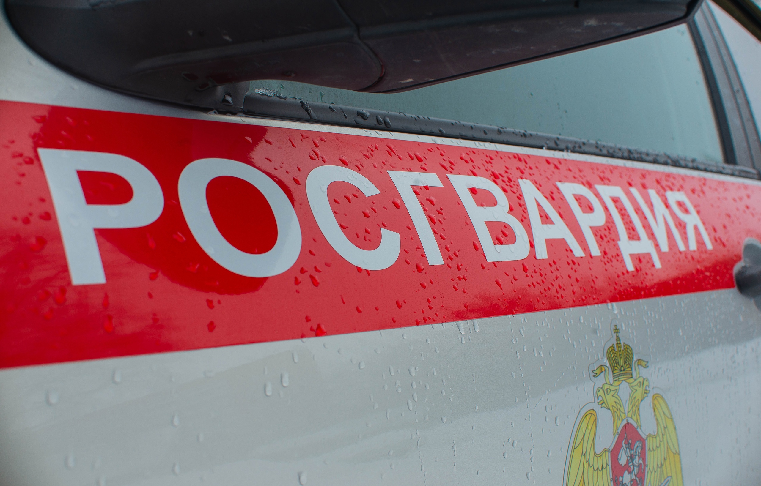 Житель Пензенской области попался с поличным на краже дорогостоящего алкоголя