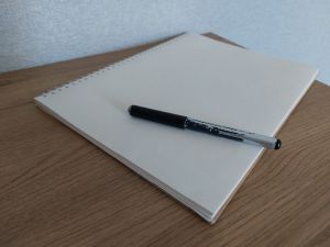 Выступление столичной певицы на Дне работника культуры в Пензе будет стоить 204 тысячи рублей