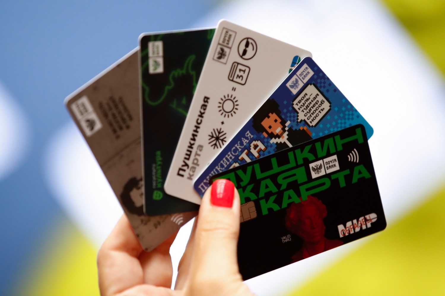 В России раскрыли схему воровства денег с Пушкинских карт