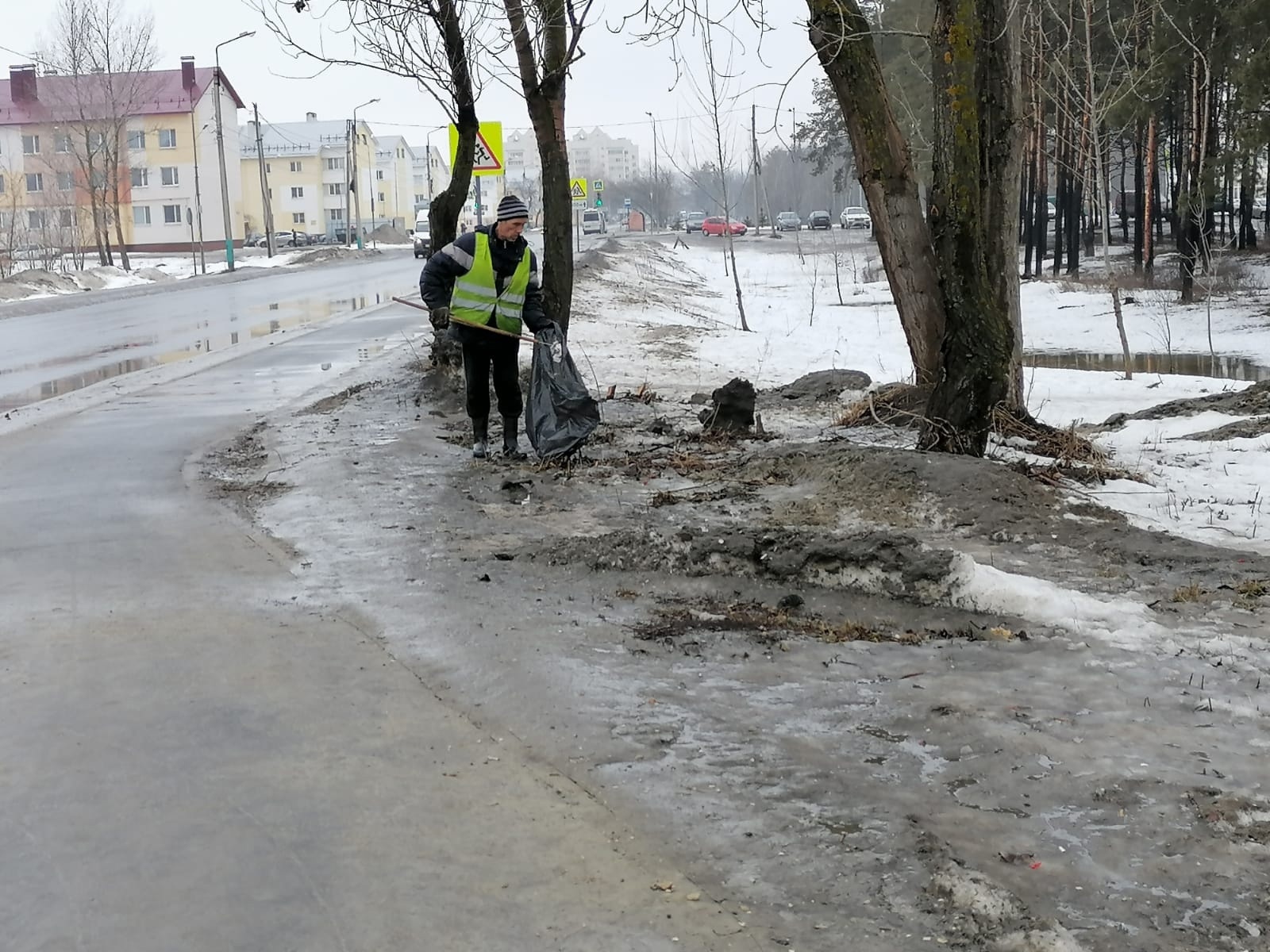 В Пензе не определили точные сроки, когда проведут уборку у олимпийской аллеи