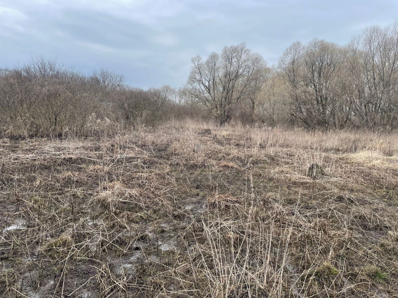 Следователи начали проверку по факту обнаружения тела жителя Каменки