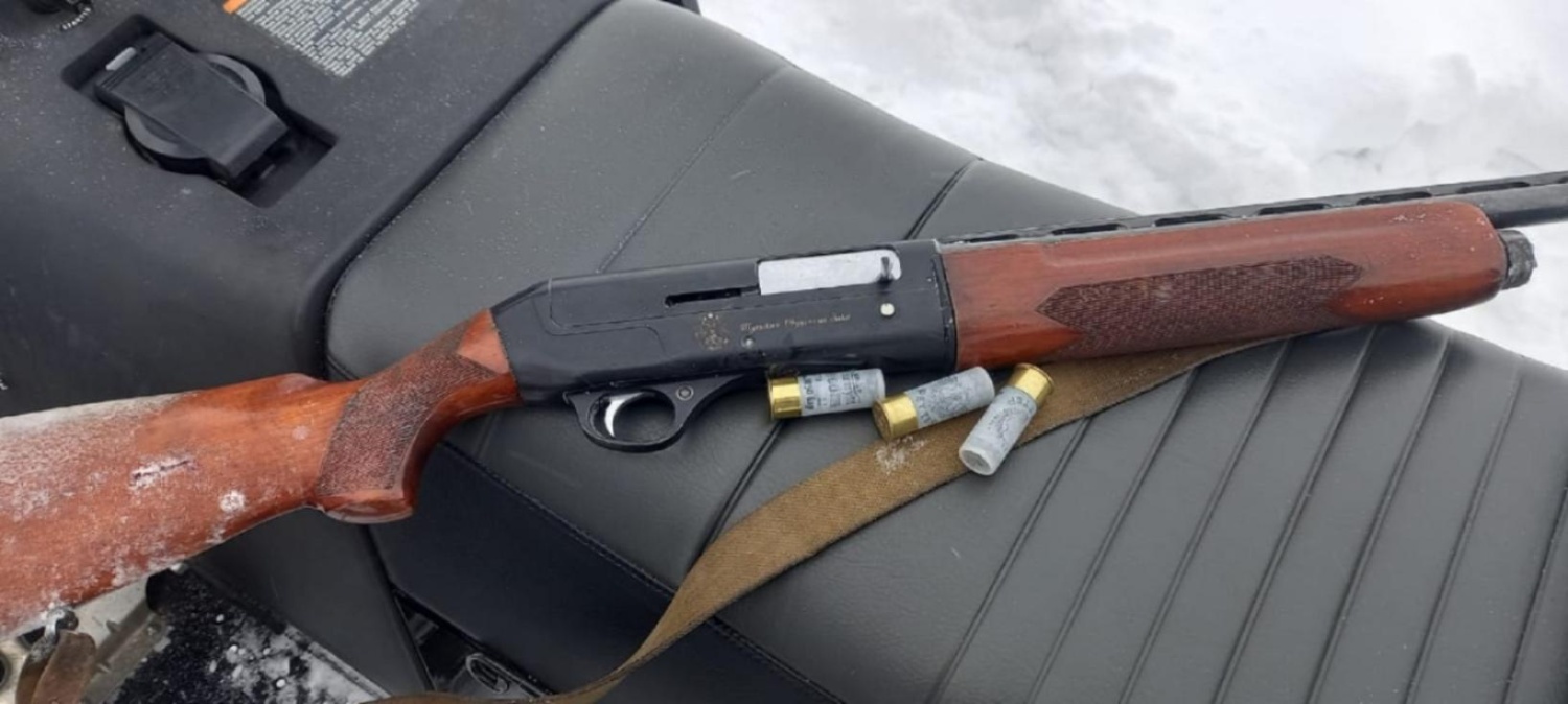 В Сердобском районе браконьер ответит за убийство пятнистого оленя