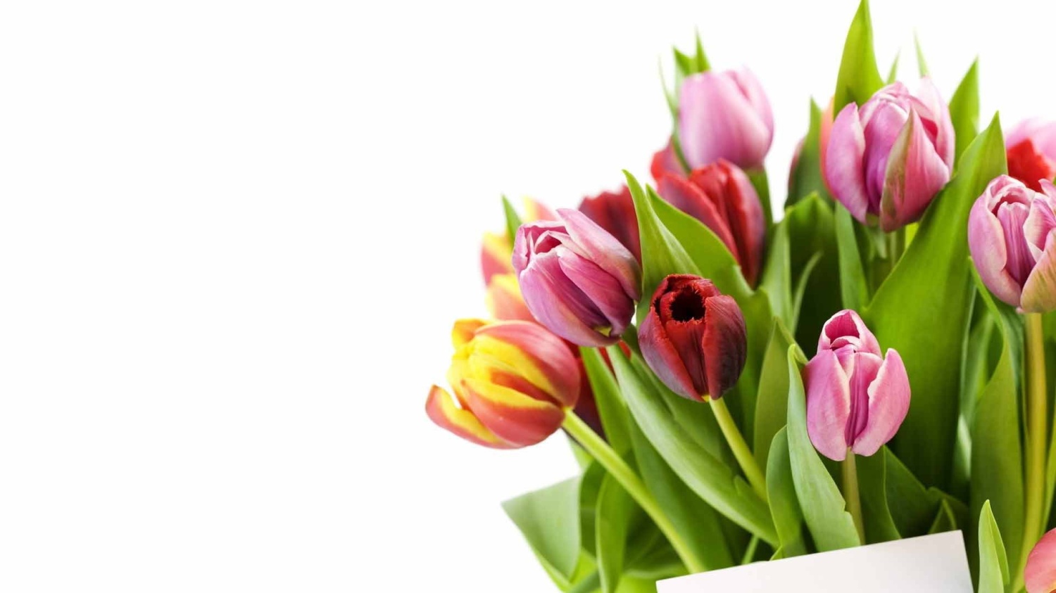 В Кузнецке пройдёт ретро-выставка «О женщина, краса земная!»