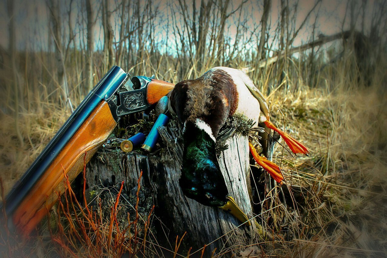 В Пензенской области стартует весенний сезон охоты