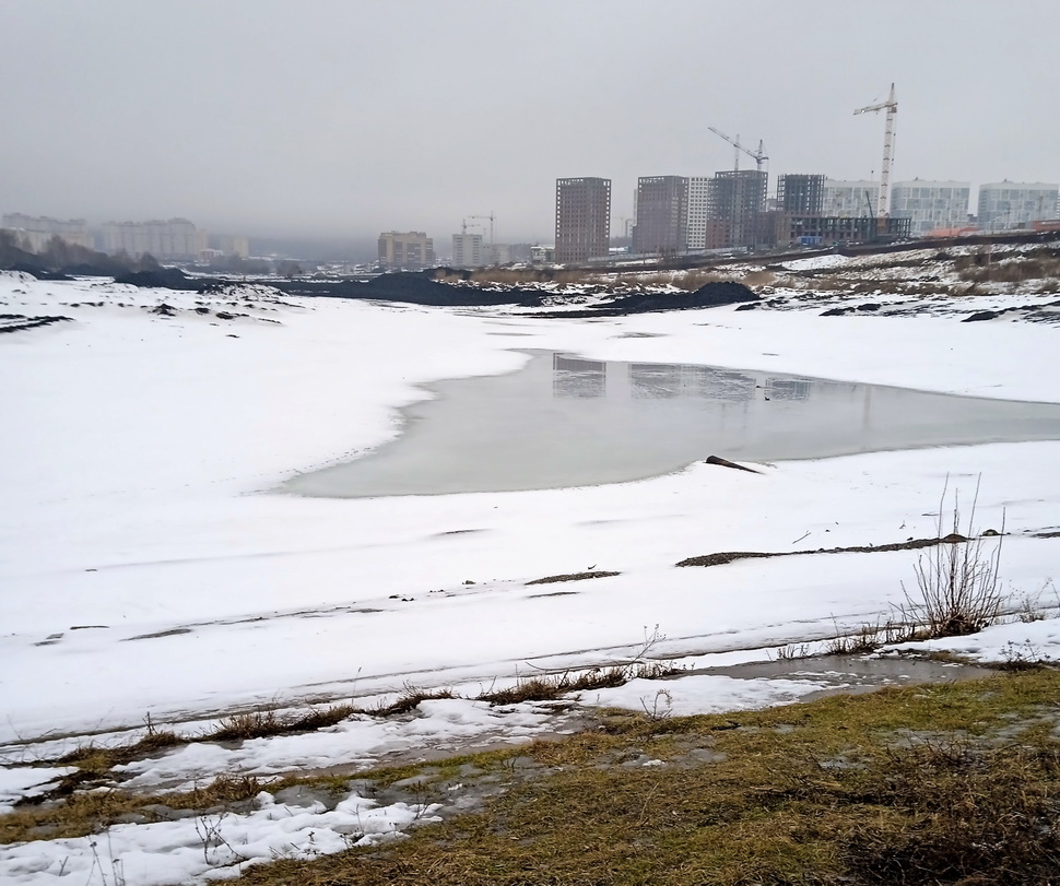 В Пензе осушенный пруд у шестой больницы признали не несущим угрозы