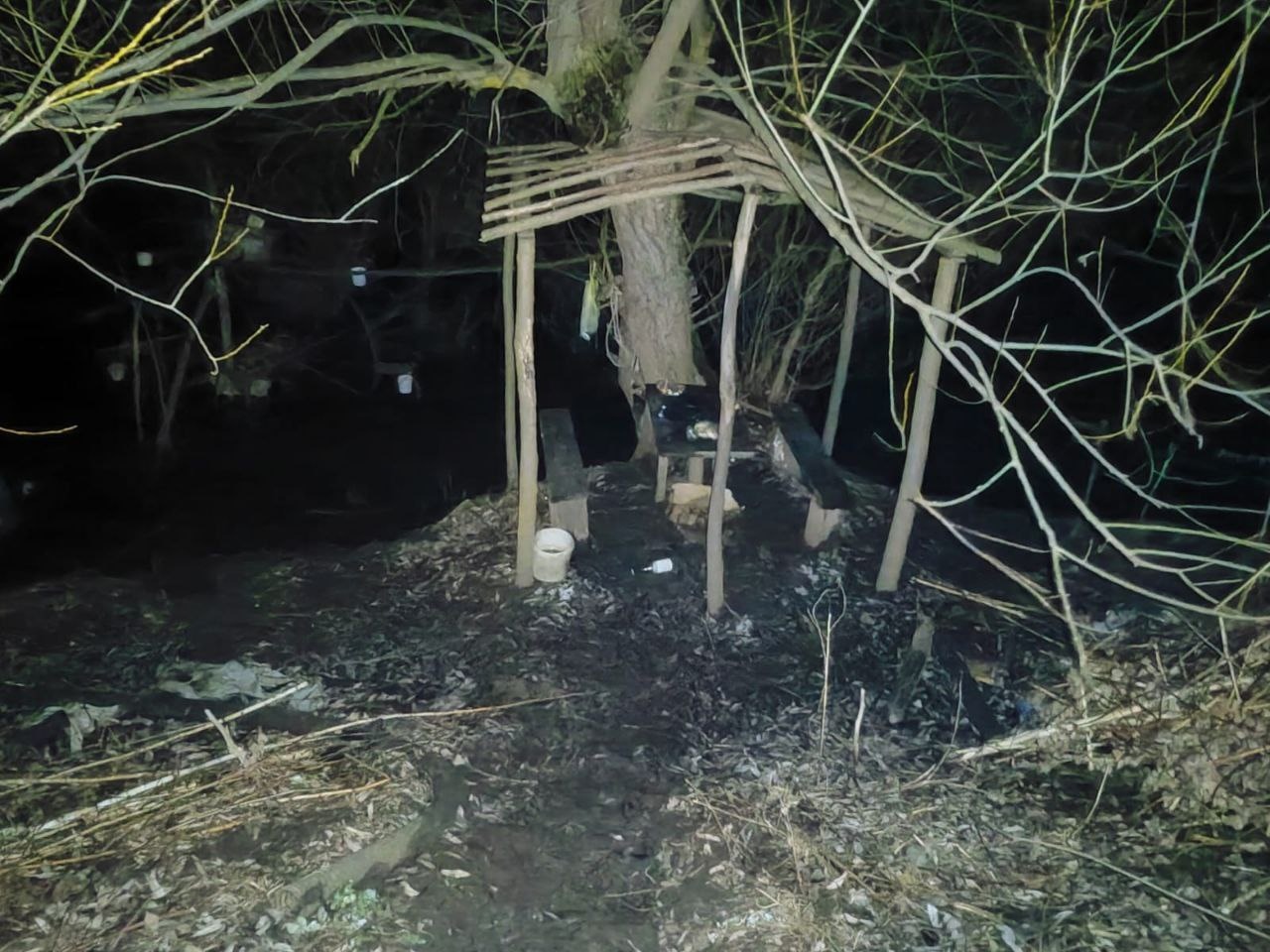 В Шемышейском районе мужчина пытался спасти друга из реки, оба погибли