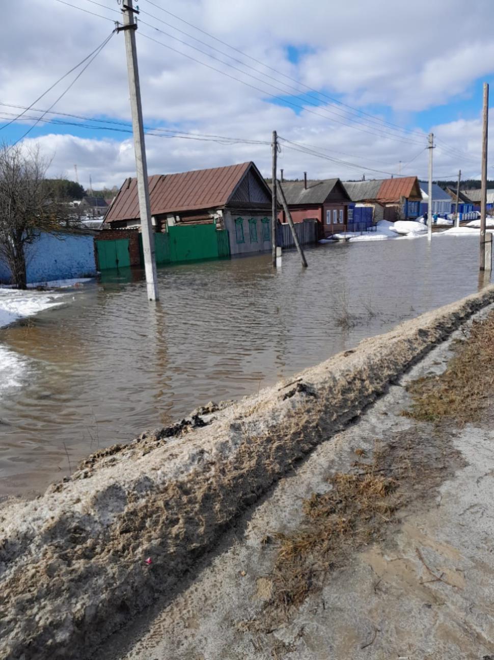 В селе Архангельское спасаетли откачали воду