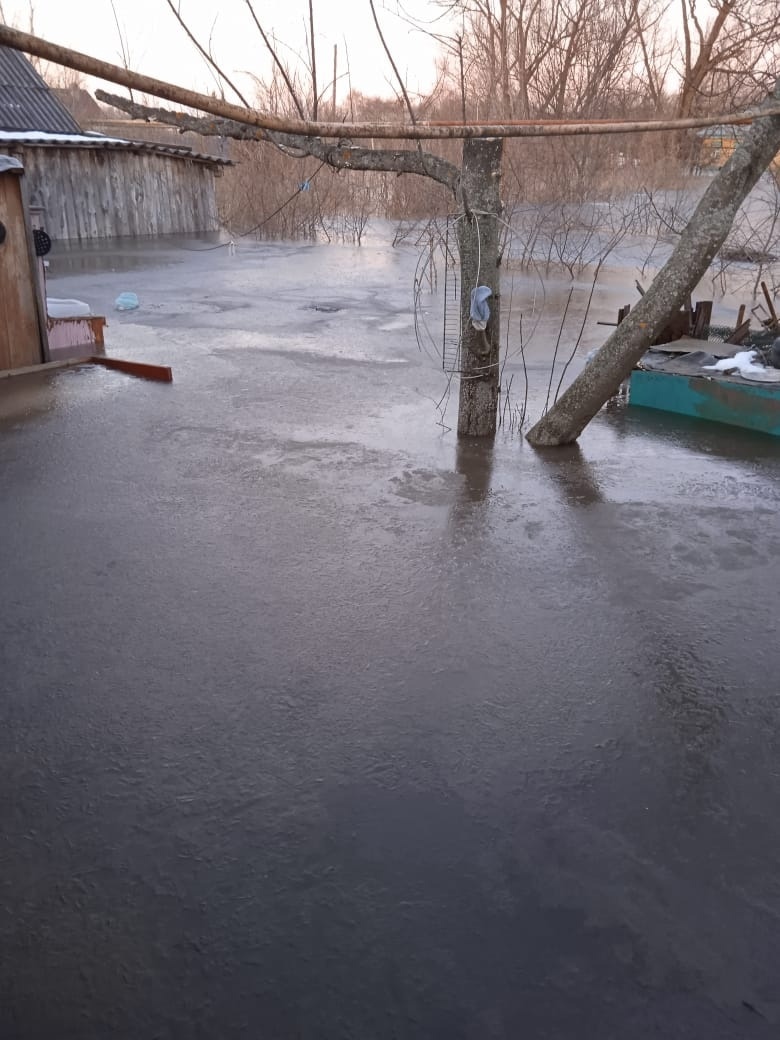 В Малой Сердобе старики не могут выбраться из затопленных домов