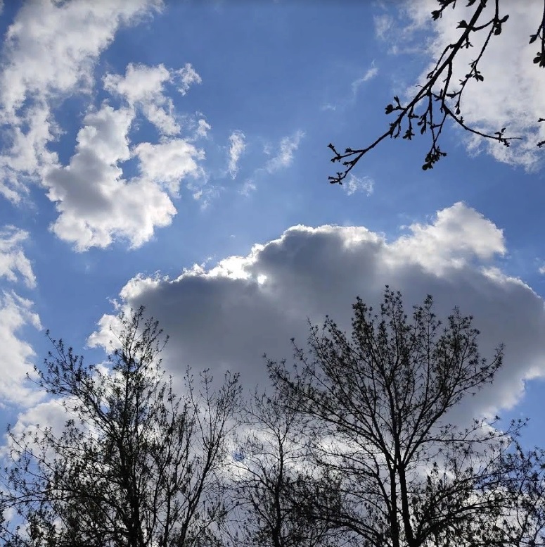 В Сердобском районе 20 марта стартует месячник по благоустройству