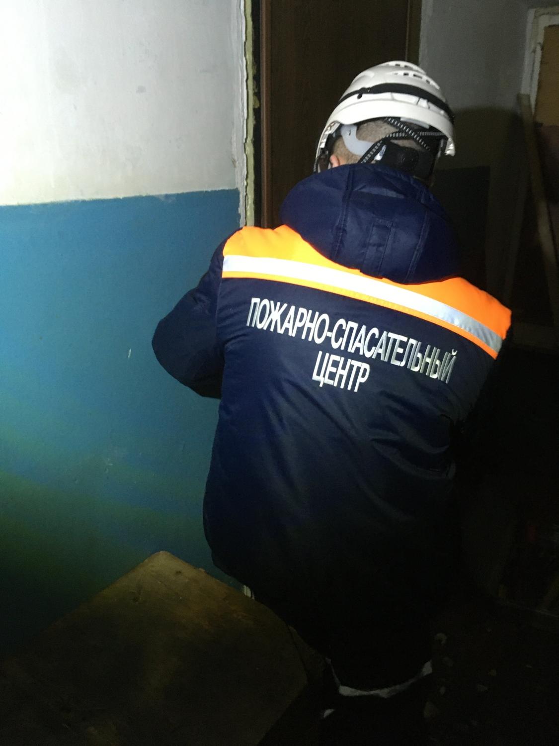 В Пензе спасатели помогли достать животное из погреба