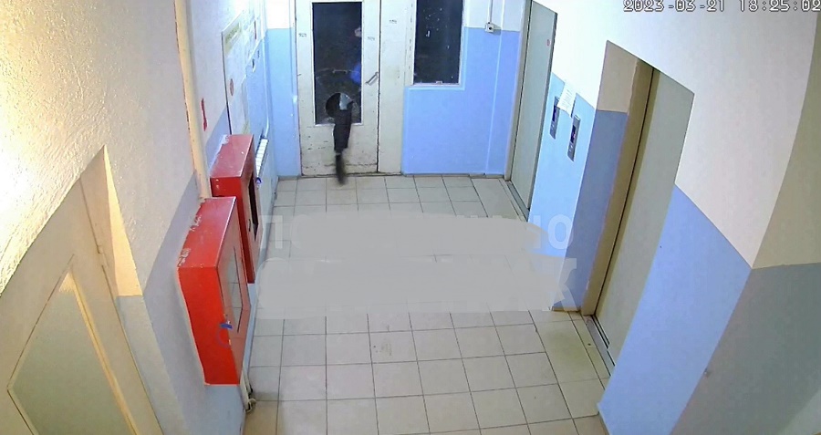 Житель Засечного разбил ногой дверь в подъезде и сорвал со стены все объявления