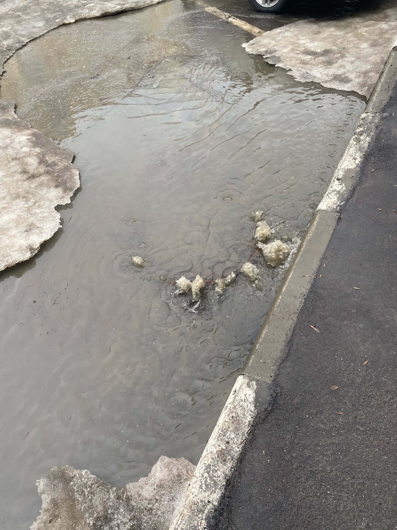 В Пензе на улице Пушкина из-под земли забил фонтан