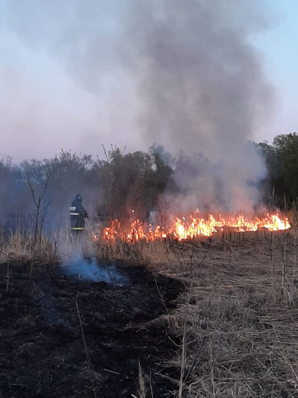 Появились фото с места пожара в Пензенском районе