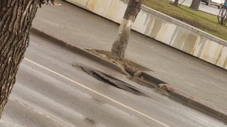 В Пензе на улице Горького просел асфальт