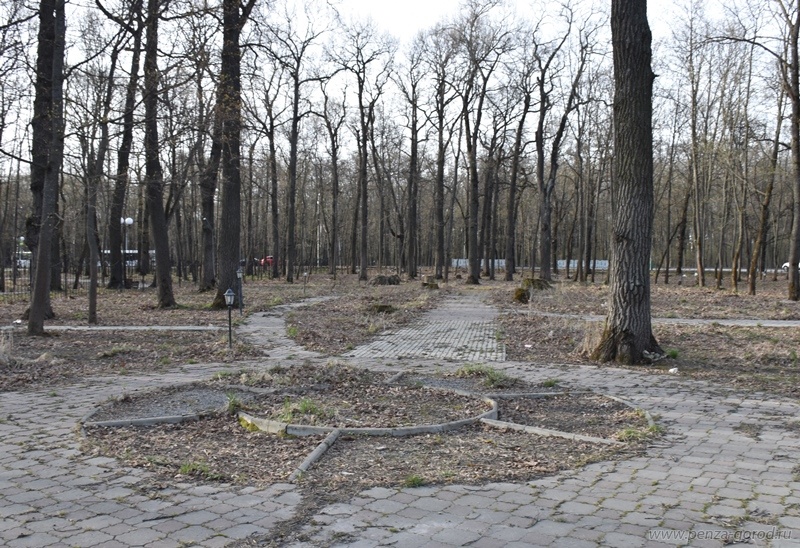 В Пензе не знают, что делать с бывшим «Парком цветов» на Западной поляне