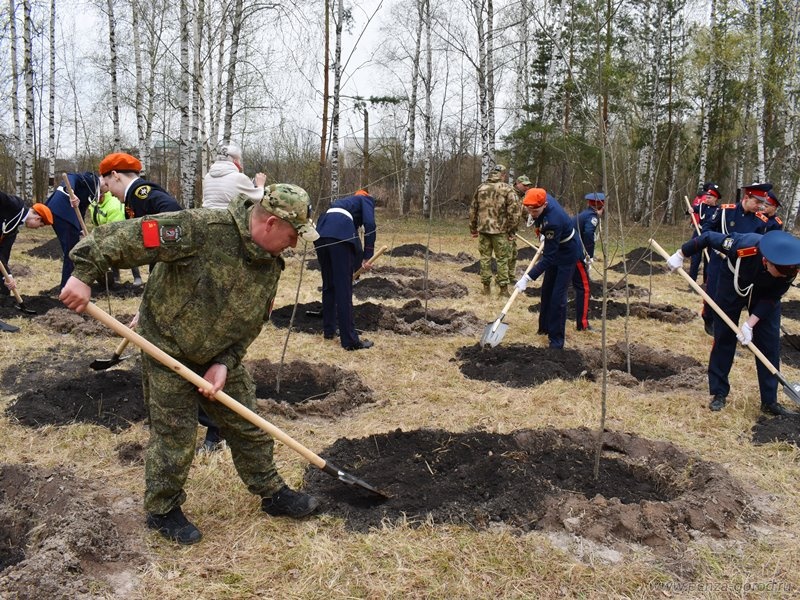 Пензенцы посадили 78 рябин у мемориала на станции Селикса