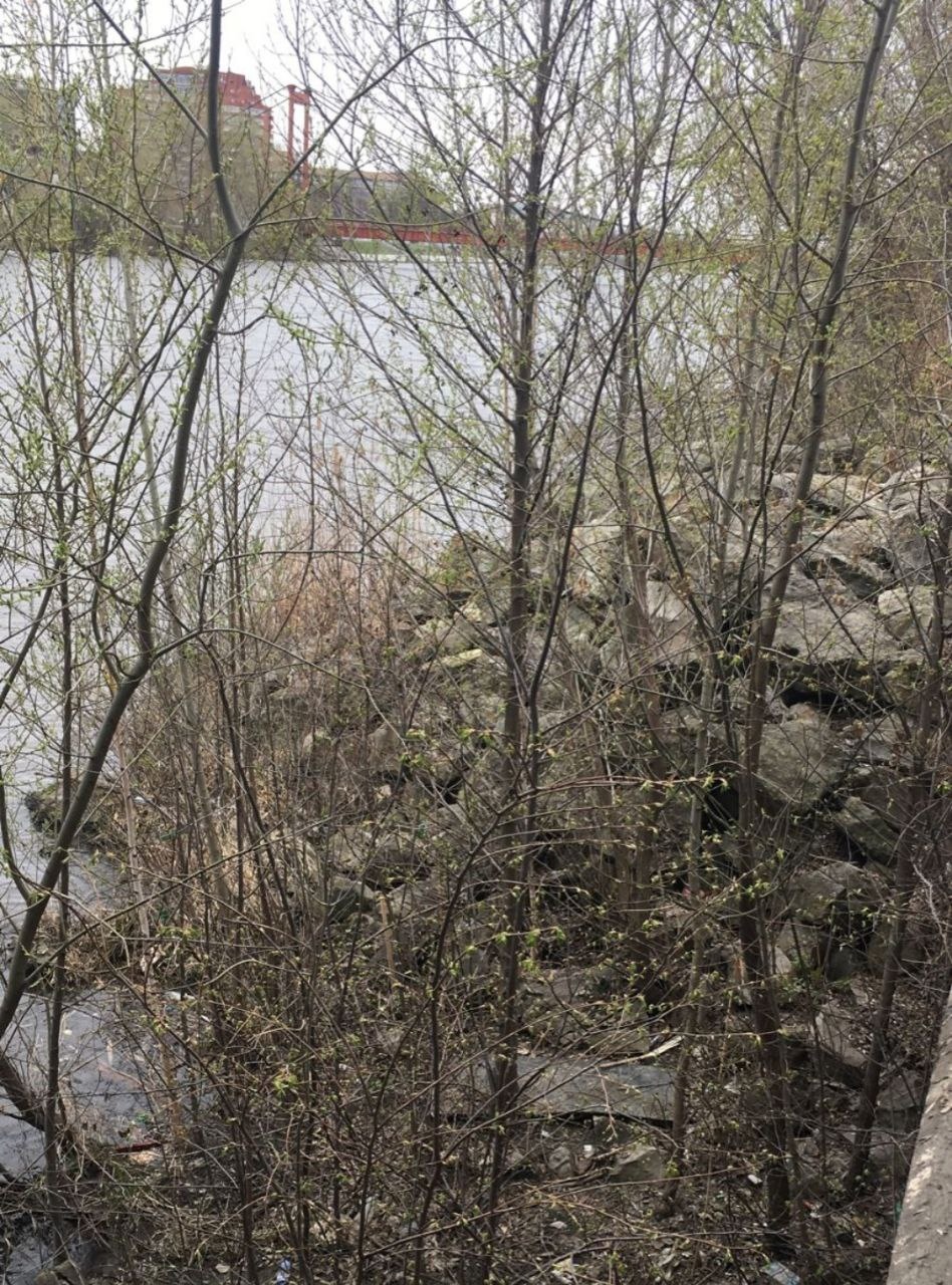 В Пензе в реке Сура нашли тело 33-летнего мужчины