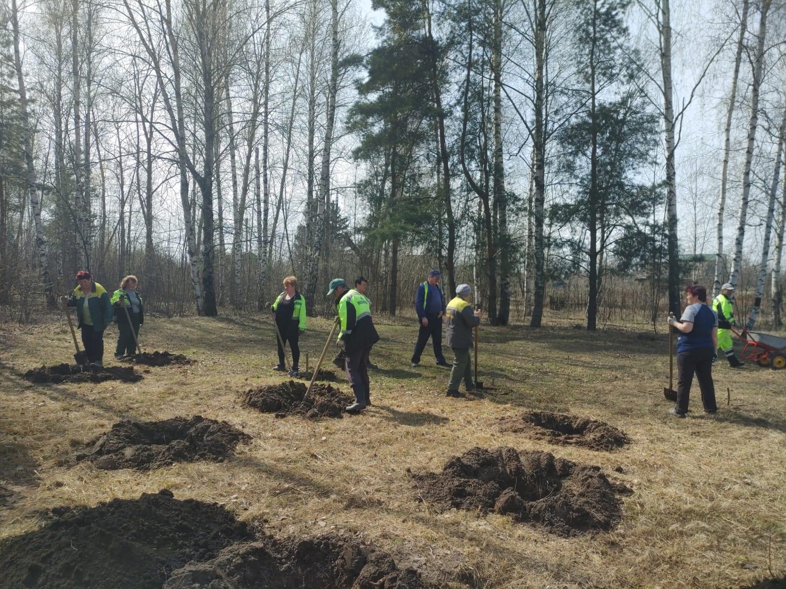 В Пензе у монумента «Селикса» в память о воинах высадят 78 рябин