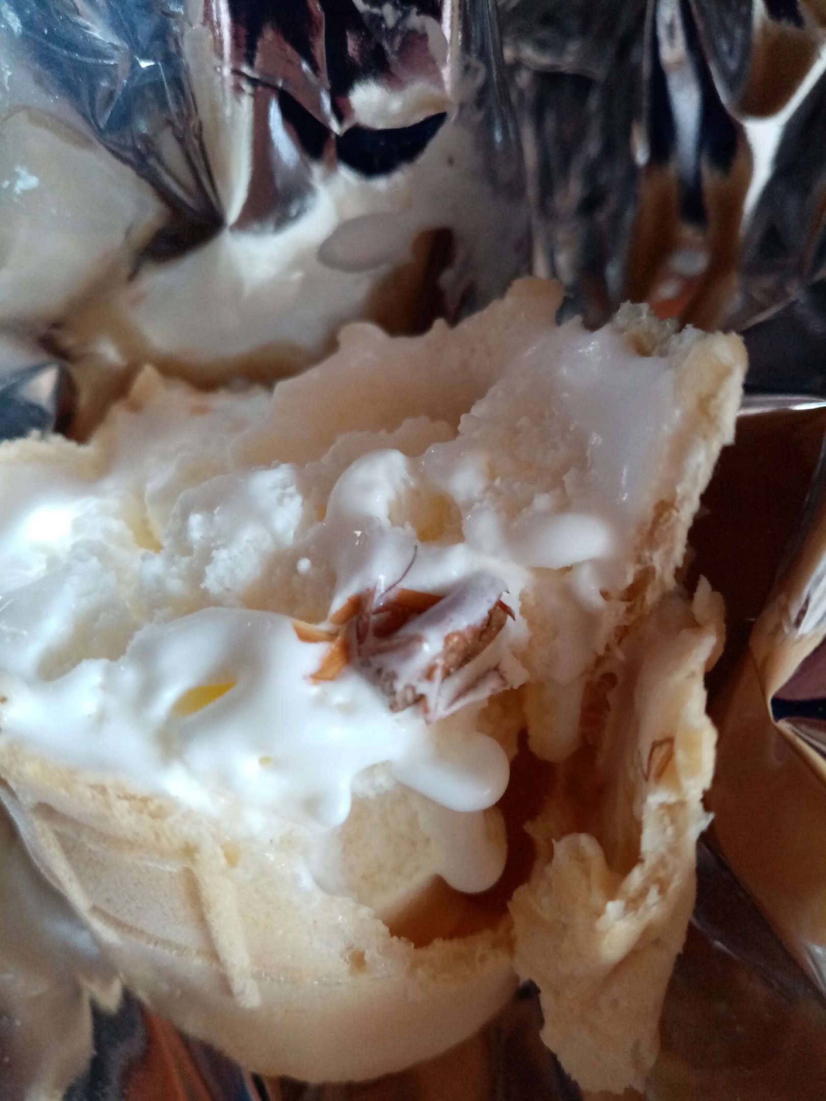 «До рвоты»: пензячка нашла мертвого таракана в мороженом