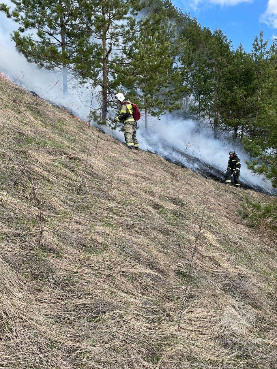 В МЧС сообщили о пожарах в Кузнецком, Сердобском, Бессоновском и других районах