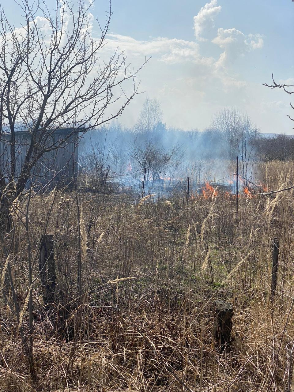 В Пензенской области сухая трава загорелась на площади 2 га