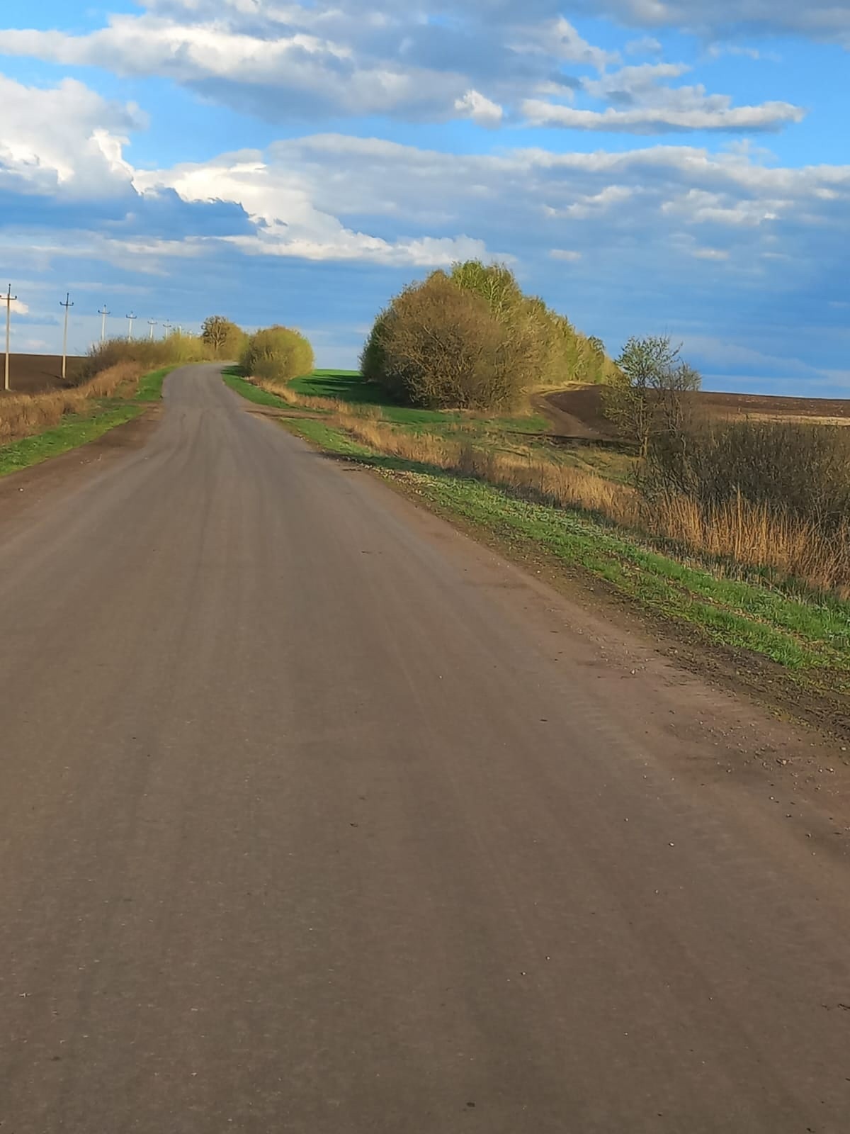 В Сердобском районе назвали еще одну дорогу, где пройдет ремонт