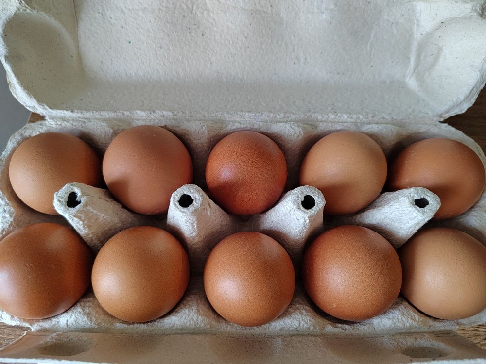 В пензенском Роспотребнадзоре рассказали, как безопасно для здоровья есть яйца