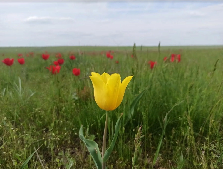 Пензенцам рассказали, когда и как можно отдохнуть на майские праздники