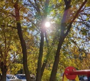 Пензенцам рассказали о реализации на территории региона комплекса «ГТО»