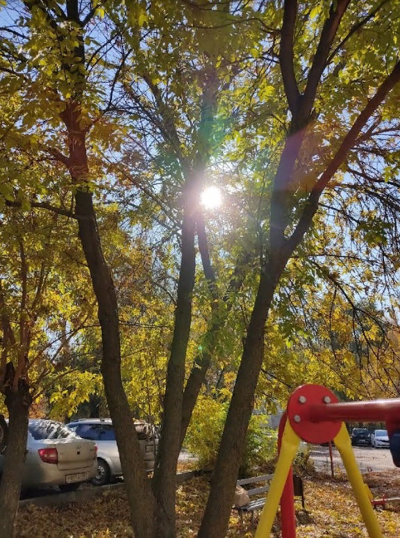 Пензенцам рассказали о реализации на территории региона комплекса «ГТО»