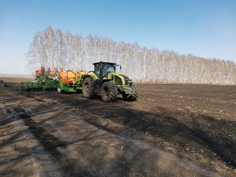 В Сердобском районе на 100% высадили горох и овес
