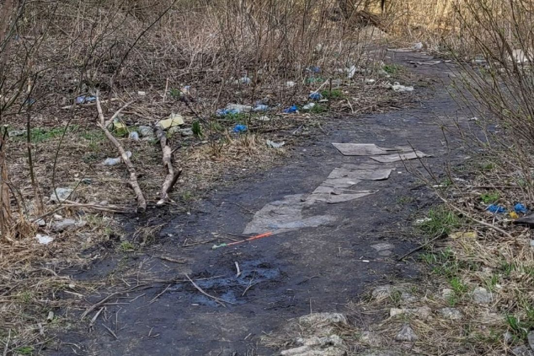 Жители Терновки жалуются на свалку, образовавшуюся на месте парка