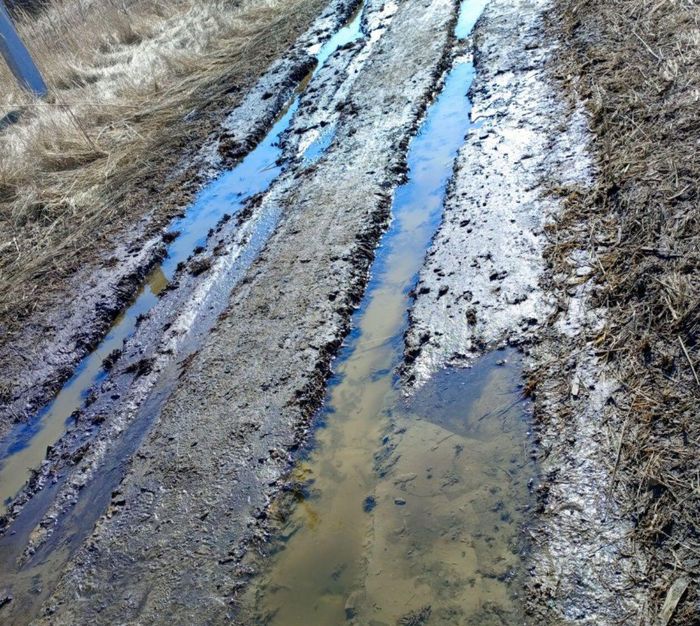 Жителям Чаадаевки ответили на жалобу по поводу ужасной дороги в поселке