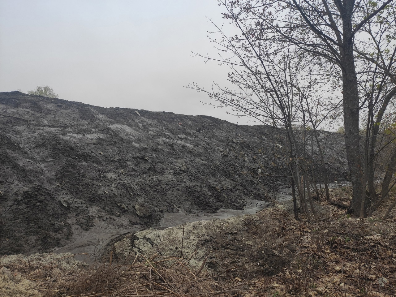 Пензенец рассказал о грязных снежных кучах в Арбековском лесу