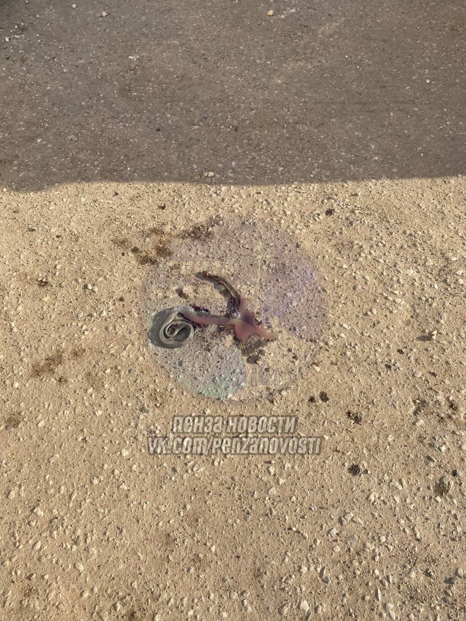 В микрорайоне Тепличном появились змеи