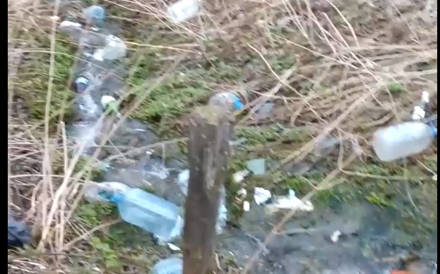 Мэр Кузнецка поручил проверить, почему загрязнен Бутурлинский пруд