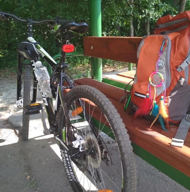 В Нижнеломовском районе накажут велосипедного вора