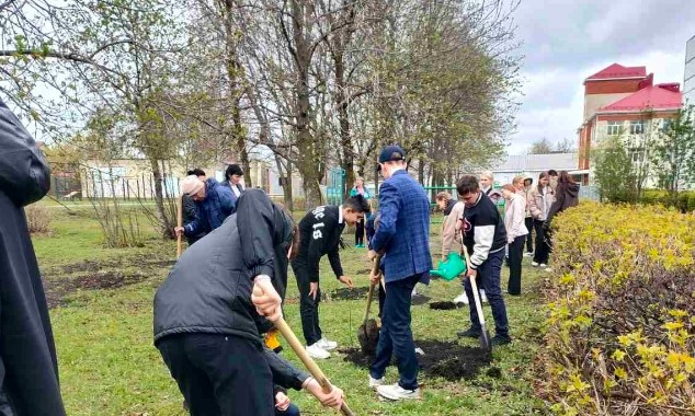 На территории кузнецкой школы появилась Аллея памяти погибших на СВО