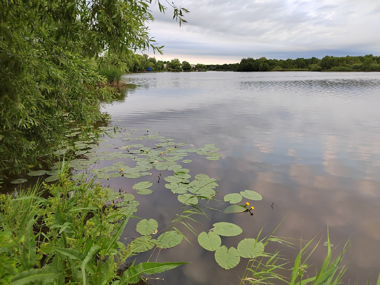 Стало известно, в каких водоемах пензенцам запрещено купаться