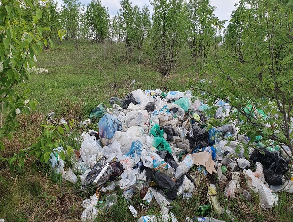 В Пензенском районе стихийная свалка разрослась на площади 50 квадратных метров