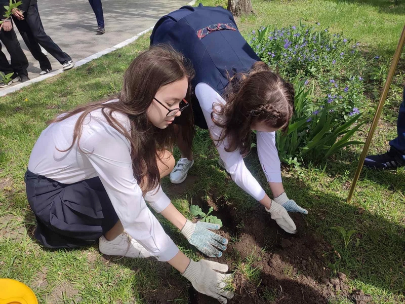В Пензе школьники посадили на аллее Победы новые саженцы деревьев