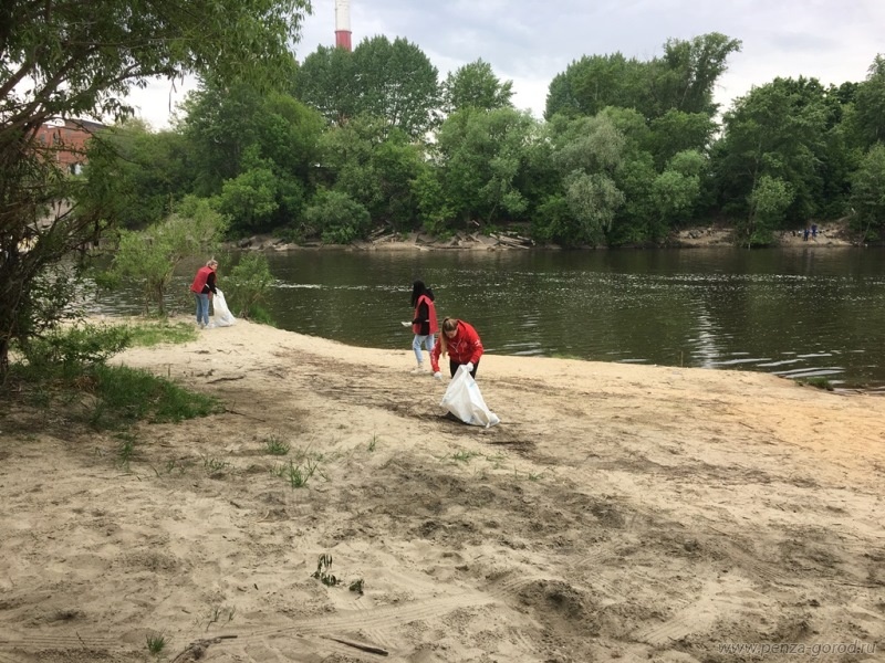 В Пензе очистили береговую линию на улице Чапаева