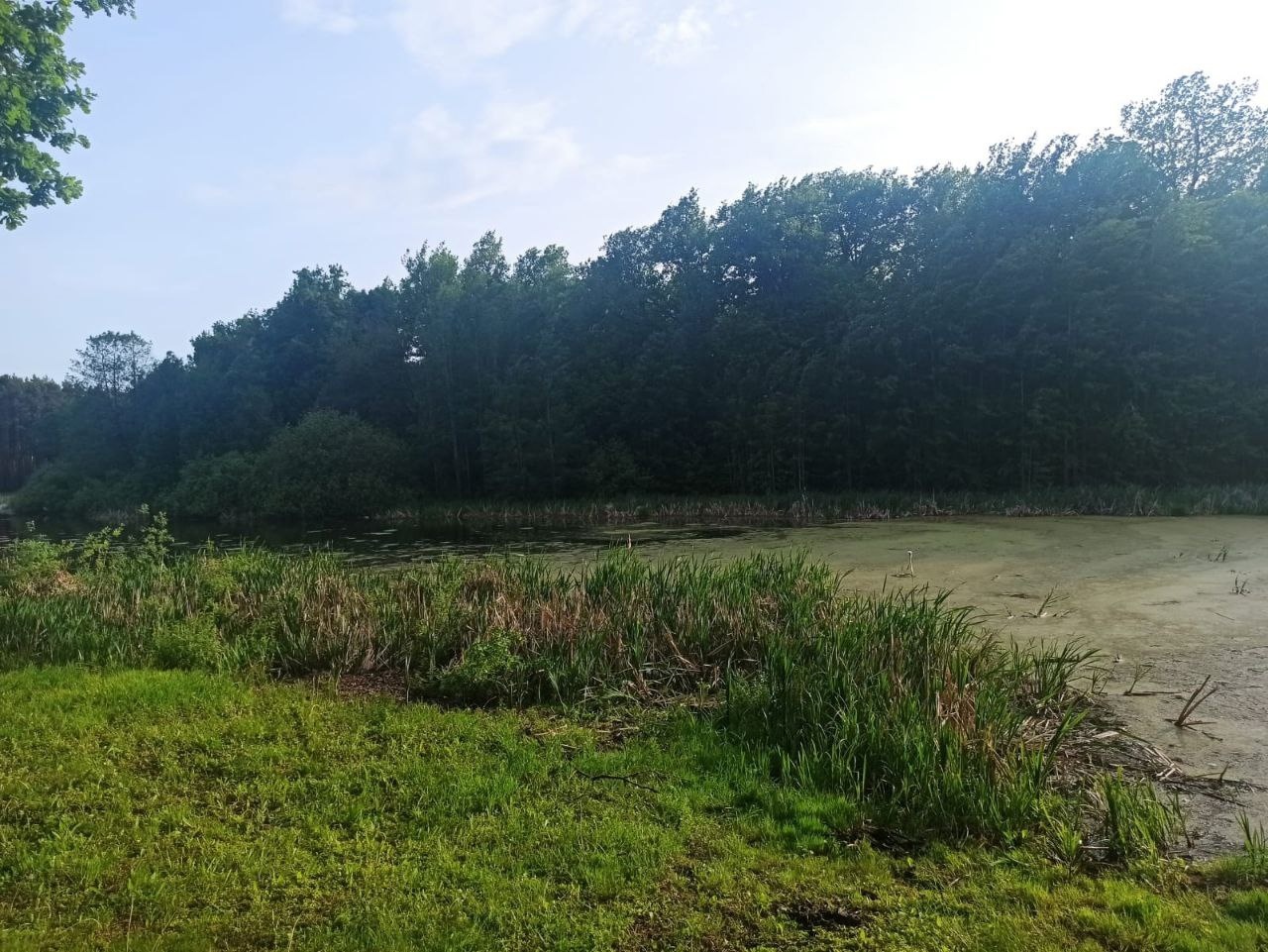 В Пензе выясняют причины смерти найденного в водоеме мужчины в зимней одежде