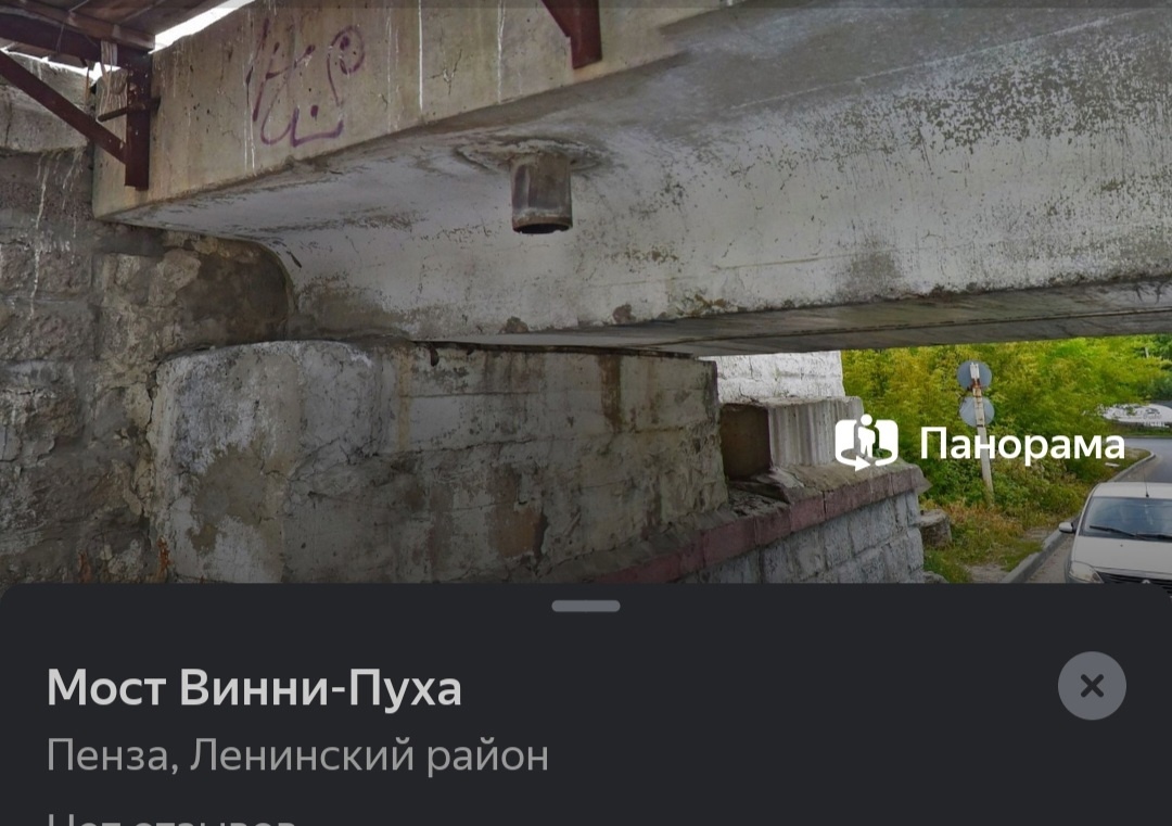 В Пензе мост «Винни-пуха» попал на «Яндекс карты»
